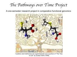 The Pathways over Time Project