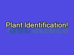 Plant Identification!
