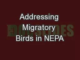 Addressing Migratory Birds in NEPA