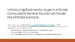Introducing Biodiversity issues in a Global Computable Gene