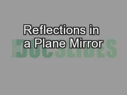 Reflections in a Plane Mirror