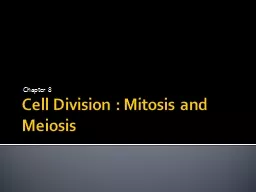 Cell Division : Mitosis and Meiosis