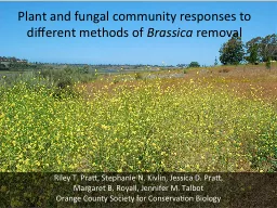 Plant and fungal community responses to different methods o