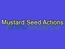 Mustard Seed Actions
