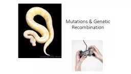 Mutations & Genetic Recombination