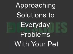 Approaching Solutions to Everyday Problems With Your Pet