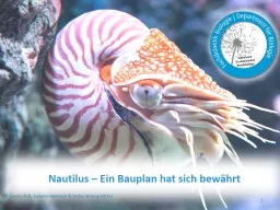 Nautilus – Ein Bauplan hat sich bewährt