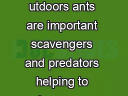 PNW PEST PRESS Sugar Ants ISSUE  SPRING IPM IN SCHOOLS utdoors ants are important scavengers and predators helping to keep our gardens and landscapes clean and tidy