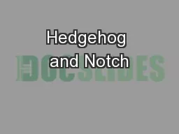 Hedgehog and Notch