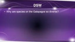 DSW Why are species on the Galapagos so diverse?