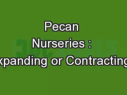 Pecan Nurseries : Expanding or Contracting?