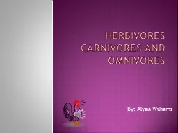 Herbivores carnivores and omnivores