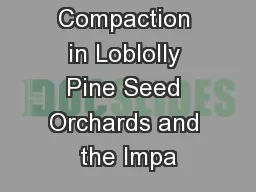 Soil Compaction in Loblolly Pine Seed Orchards and the Impa