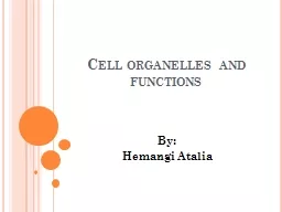 Cell organelles and functions