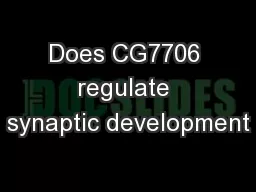 Does CG7706 regulate synaptic development