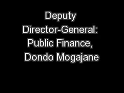Deputy Director-General: Public Finance, Dondo Mogajane