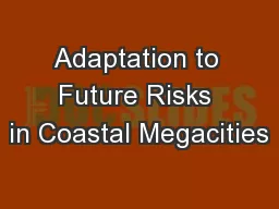 Adaptation to Future Risks in Coastal Megacities