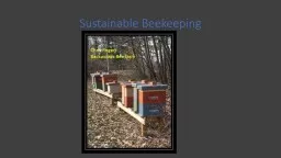 Sustainable Beekeeping