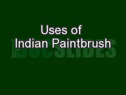 Uses of Indian Paintbrush