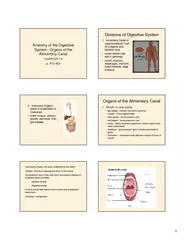 Anatomy of the Digestive System Organs of the Alimenta