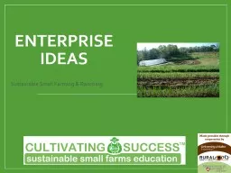 Enterprise Ideas