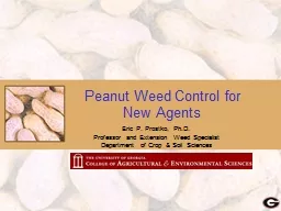 Peanut Weed Control for