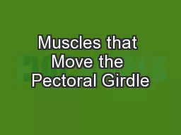 Muscles that Move the Pectoral Girdle