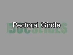 Pectoral Girdle