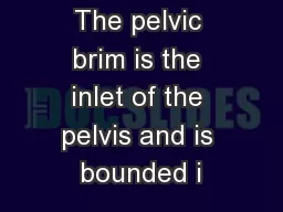The pelvic brim is the inlet of the pelvis and is bounded i