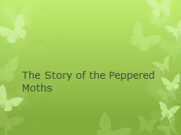 The Story of the Peppered Moths