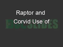 Raptor and Corvid Use of