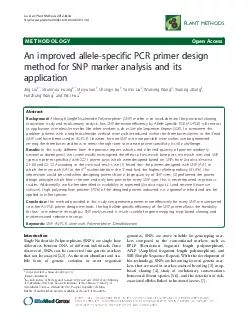 METHODOLOGY Open Access An improved allelespecific PCR