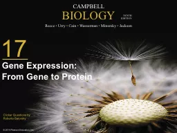 Gene Expression: From Gene to Protein