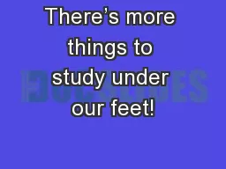 There’s more things to study under our feet!
