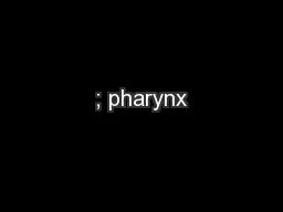 ; pharynx
