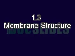 1.3 Membrane Structure