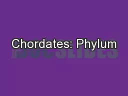 Chordates: Phylum