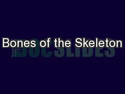Bones of the Skeleton