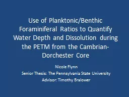 Use of Planktonic/Benthic Foraminiferal Ratios to Quantify