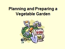 Planning and Preparing a Vegetable Garden