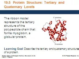 19.5  Protein Structure: Tertiary and Quaternary Levels