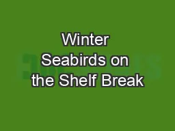 Winter Seabirds on the Shelf Break