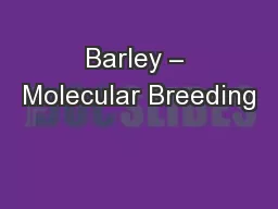 Barley – Molecular Breeding