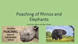 Poaching of Rhinos and Elephants