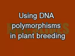 Using DNA polymorphisms in plant breeding