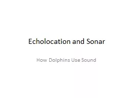 Echolocation and Sonar