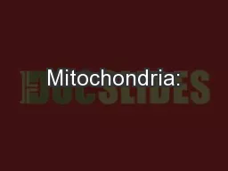 Mitochondria: