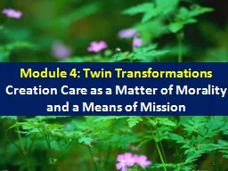 Module 4: Twin Transformations