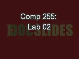 Comp 255: Lab 02