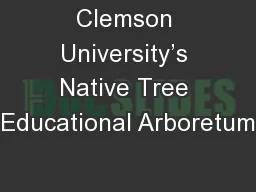 Clemson University’s Native Tree Educational Arboretum